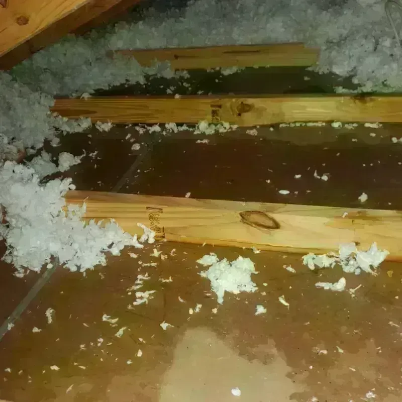 Attic Water Damage in Fairfield County, OH